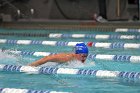 Swimming & Diving vs Babson  Swimming & Diving vs Babson College. - Photo by Keith Nordstrom : Wheaton, Swimming